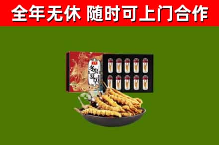 通许县回收冬虫夏草价格